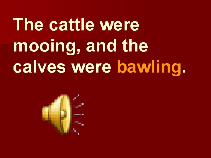 The cattle were mooing, and the calves were bawling. 