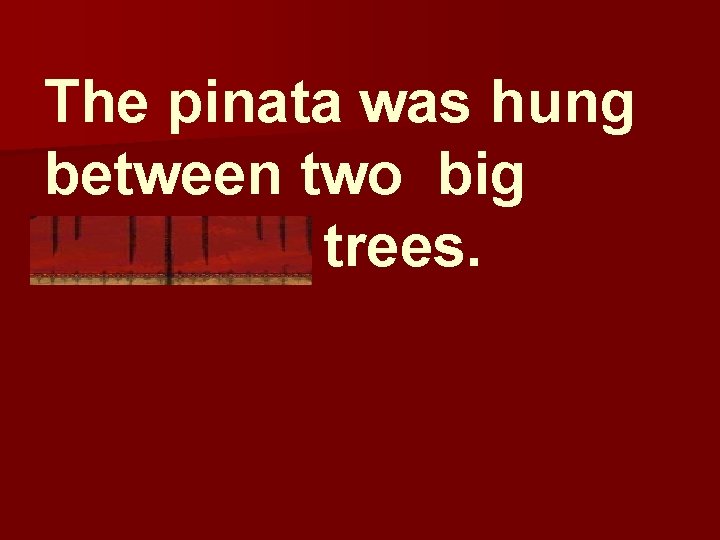 The pinata was hung between two big mesquite trees. 