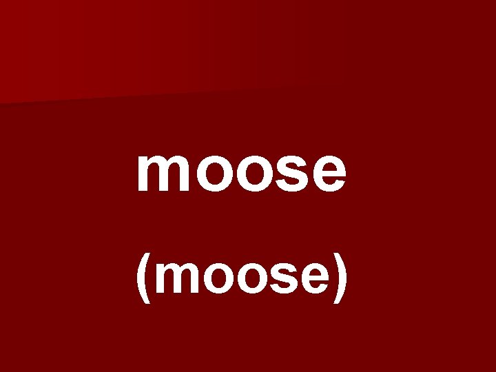 moose (moose) 