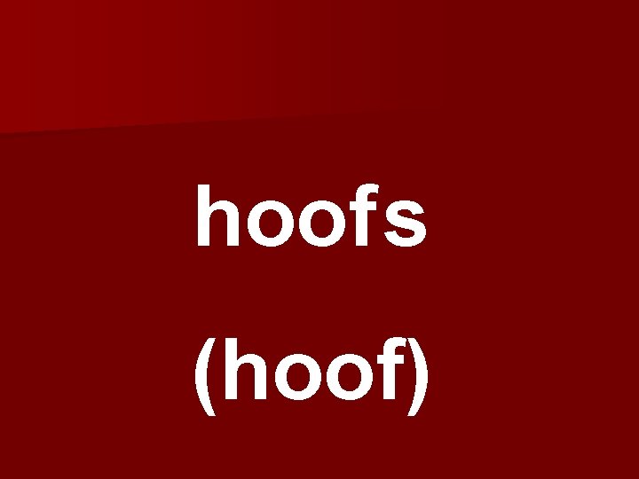 hoofs (hoof) 