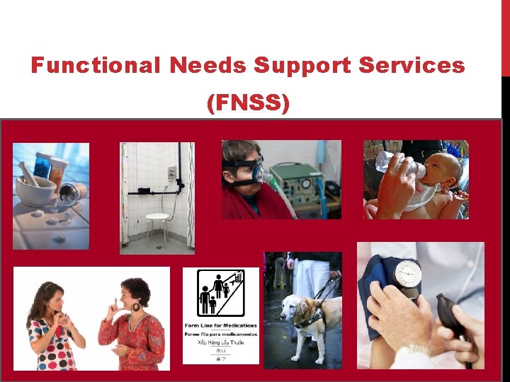 Functional Needs Support Services (FNSS) 
