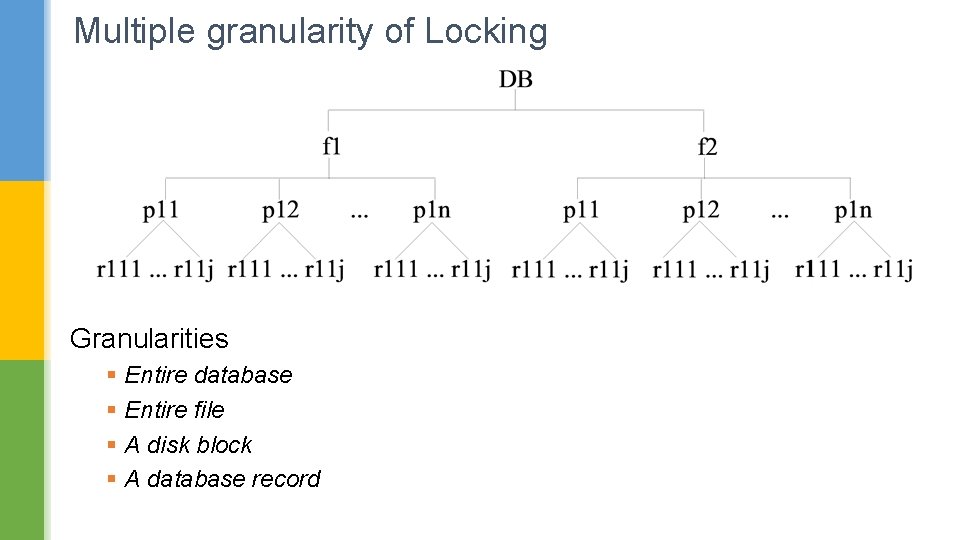 Multiple granularity of Locking Granularities § Entire database § Entire file § A disk