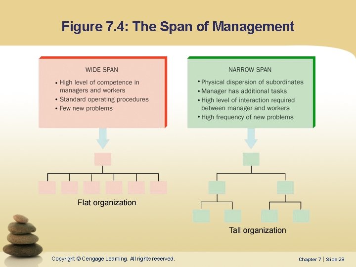 Figure 7. 4: The Span of Management Copyright © Cengage Learning. All rights reserved.