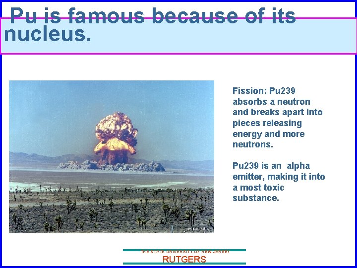 Pu is famous because of its nucleus. Fission: Pu 239 absorbs a neutron and