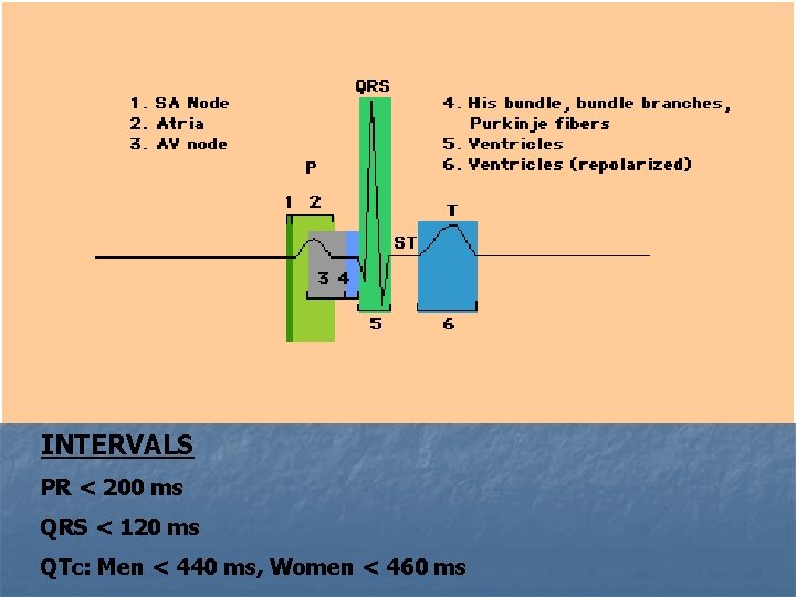 INTERVALS PR < 200 ms QRS < 120 ms QTc: Men < 440 ms,