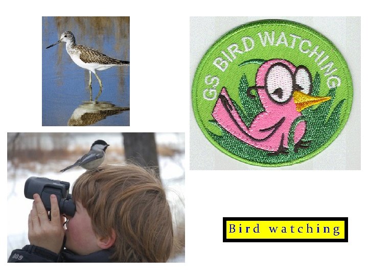 Bird watching 