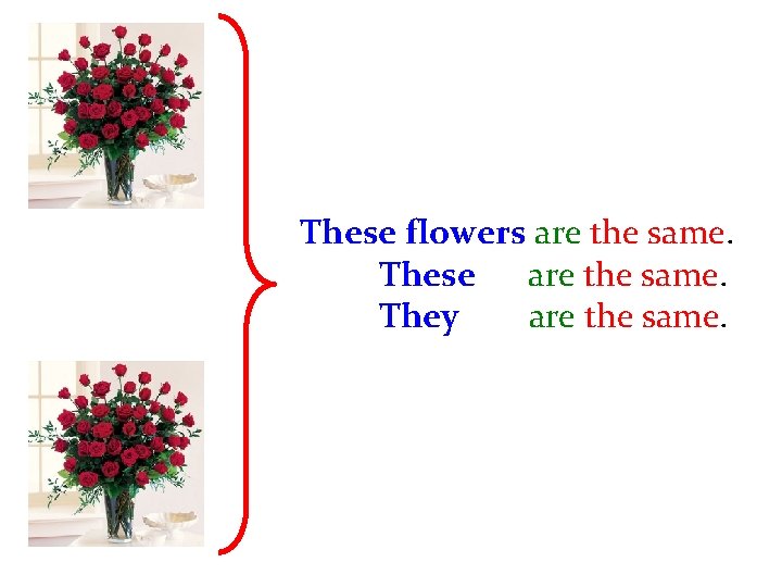 These flowers are the same. These are the same. They are the same. 