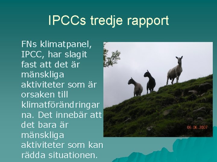 IPCCs tredje rapport FNs klimatpanel, IPCC, har slagit fast att det är mänskliga aktiviteter