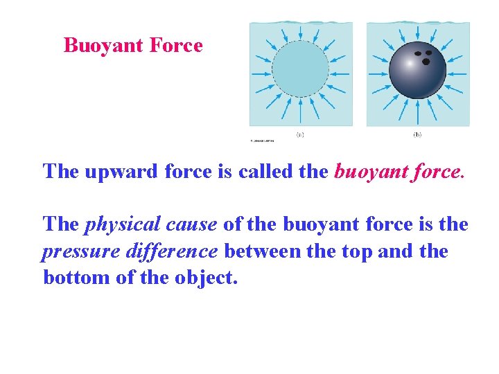 Buoyant Force The upward force is called the buoyant force. The physical cause of