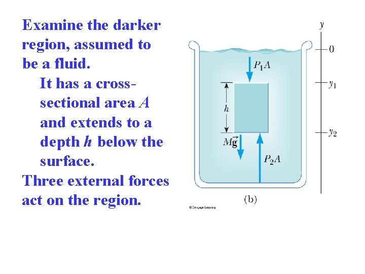 Examine the darker region, assumed to be a fluid. It has a crosssectional area