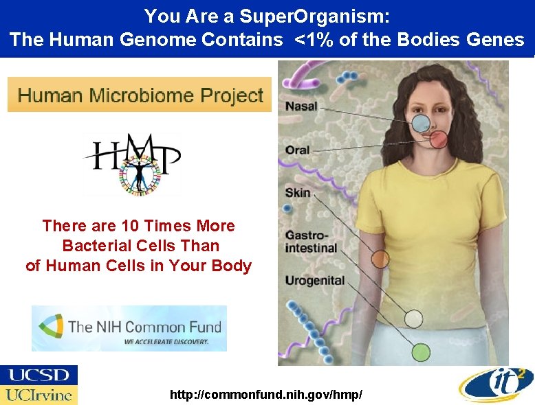 You Are a Super. Organism: The Human Genome Contains <1% of the Bodies Genes
