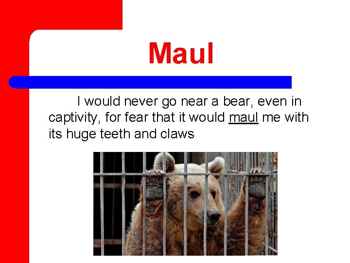 Maul I would never go near a bear, even in captivity, for fear that