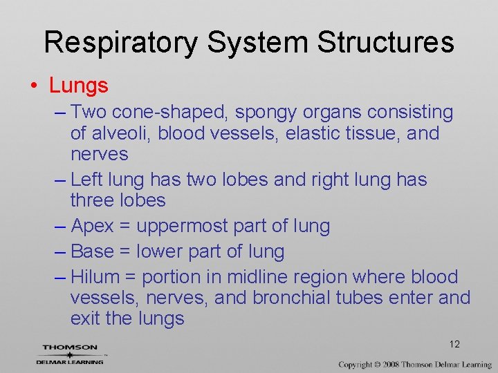 Respiratory System Structures • Lungs – Two cone-shaped, spongy organs consisting of alveoli, blood