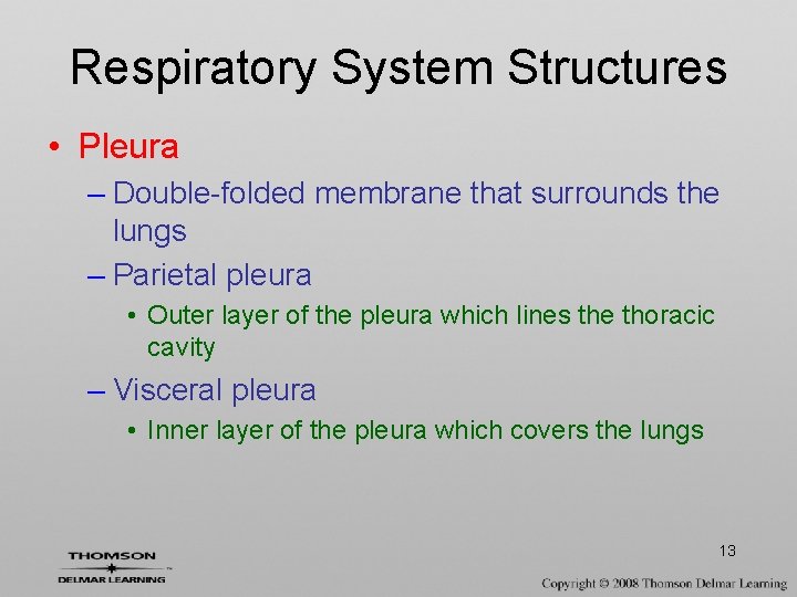 Respiratory System Structures • Pleura – Double-folded membrane that surrounds the lungs – Parietal