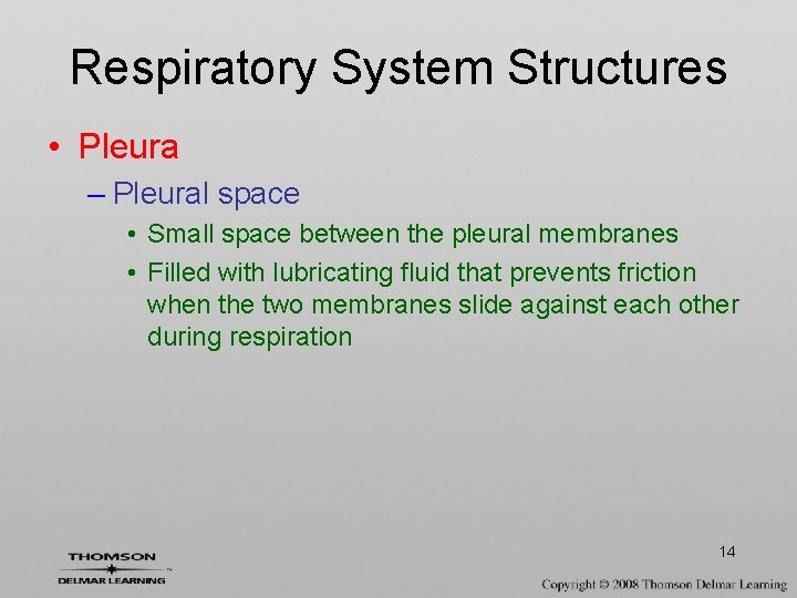Respiratory System Structures • Pleura – Pleural space • Small space between the pleural