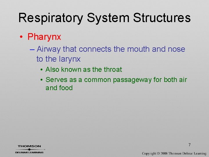 Respiratory System Structures • Pharynx – Airway that connects the mouth and nose to
