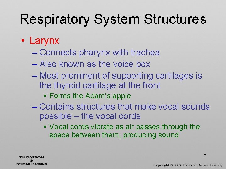 Respiratory System Structures • Larynx – Connects pharynx with trachea – Also known as