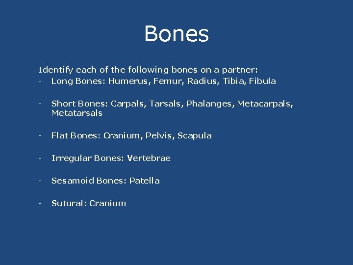 Bones Identify each of the following bones on a partner: - Long Bones: Humerus,