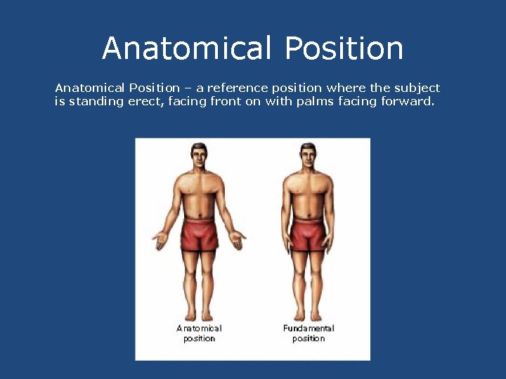 Anatomical Position – a reference position where the subject is standing erect, facing front