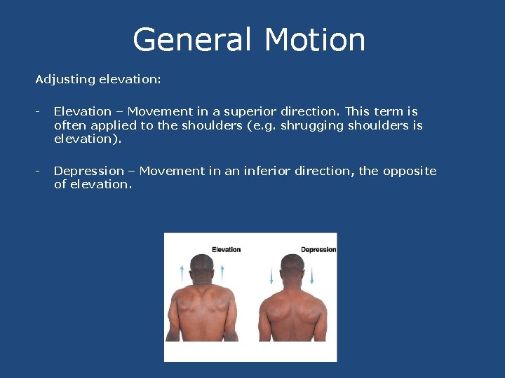 General Motion Adjusting elevation: - Elevation – Movement in a superior direction. This term