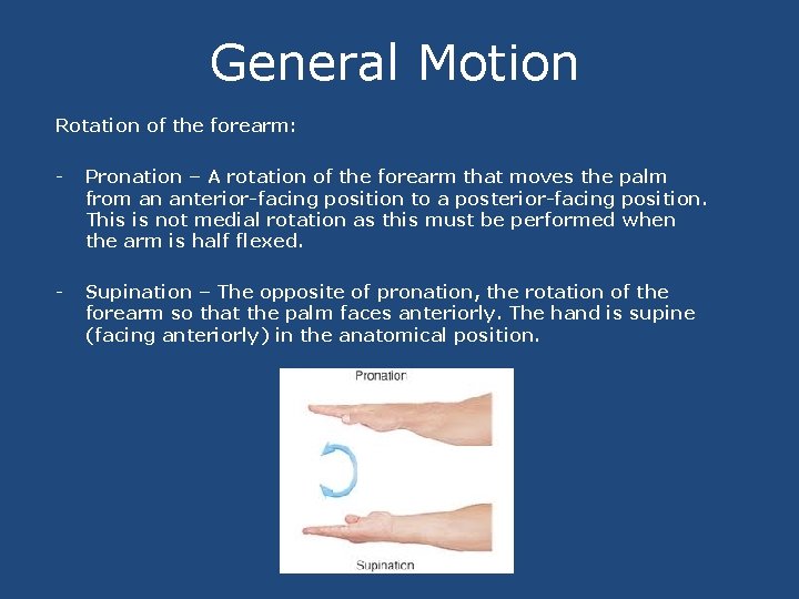 General Motion Rotation of the forearm: - Pronation – A rotation of the forearm