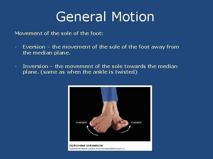 General Motion Movement of the sole of the foot: - Eversion – the movement