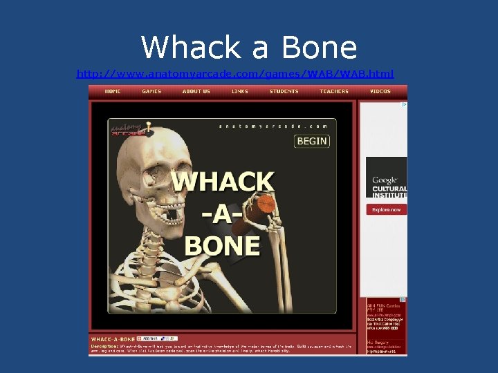 Whack a Bone http: //www. anatomyarcade. com/games/WAB. html 