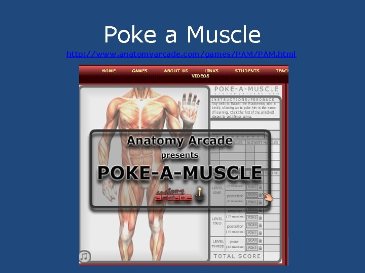 Poke a Muscle http: //www. anatomyarcade. com/games/PAM. html 