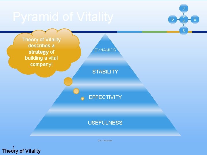 Pyramid of Vitality U D V S S Theory of Vitality describes a strategy