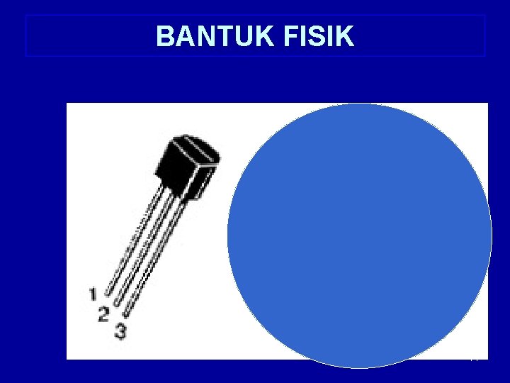 BANTUK FISIK 11 