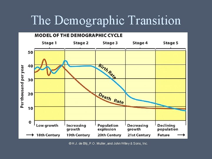 The Demographic Transition © H. J. de Blij, P. O. Muller, and John Wiley