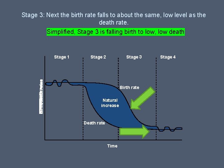 Stage 3: Next the birth rate falls to about the same, low level as