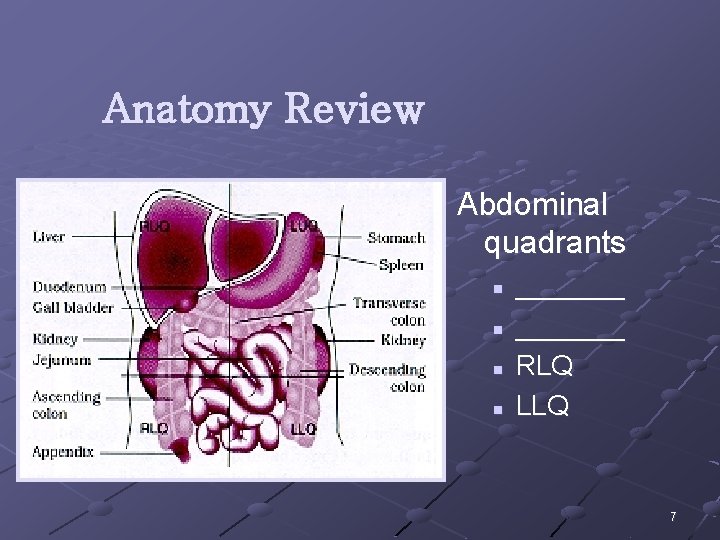 Anatomy Review Abdominal quadrants n n _______ RLQ LLQ 7 