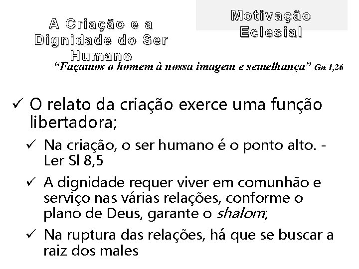 A Criação e a Dignidade do Ser Humano Motivação Eclesial “Façamos o homem à