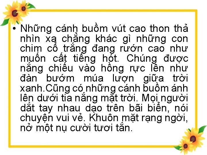  • Những cánh buồm vút cao thon thả nhìn xa chẳng khác gì