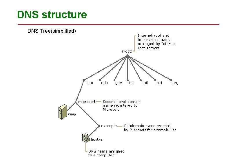DNS structure DNS Tree(simplified) DNS structure DNS Tree(simplified)