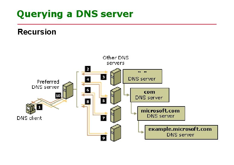 Querying a DNS server Recursion Querying a DNS server Recursion