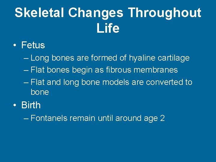 Skeletal Changes Throughout Life • Fetus – Long bones are formed of hyaline cartilage