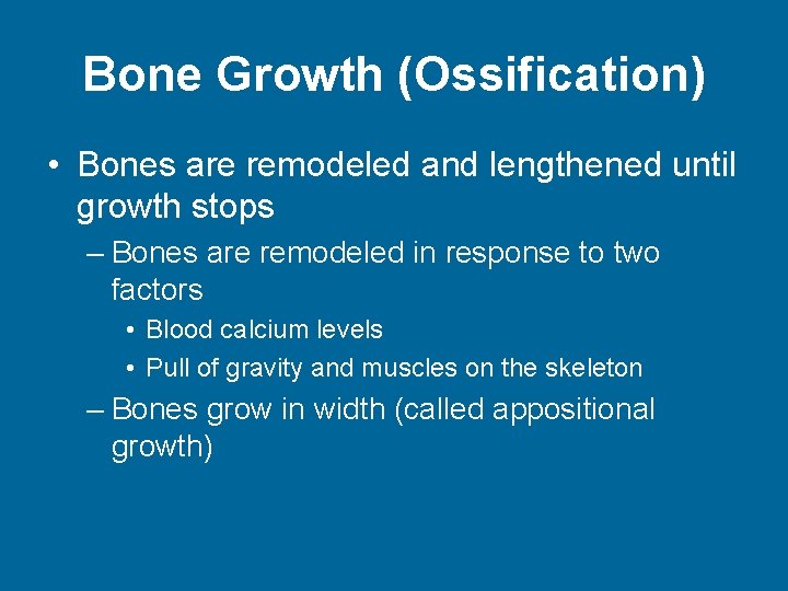 Bone Growth (Ossification) • Bones are remodeled and lengthened until growth stops – Bones