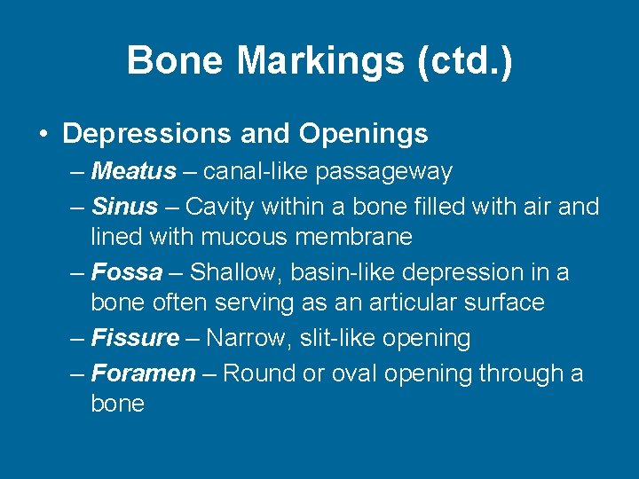 Bone Markings (ctd. ) • Depressions and Openings – Meatus – canal-like passageway –