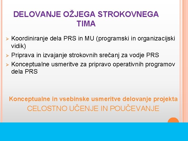 DELOVANJE OŽJEGA STROKOVNEGA TIMA Ø Ø Ø Koordiniranje dela PRS in MU (programski in