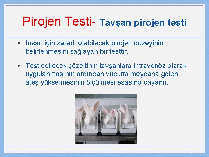 Pirojen Testi- Tavşan pirojen testi • İnsan için zararlı olabilecek pirojen düzeyinin belirlenmesini sağlayan