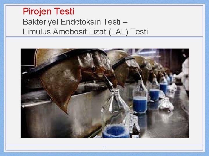 Pirojen Testi Bakteriyel Endotoksin Testi – Limulus Amebosit Lizat (LAL) Testi 32 