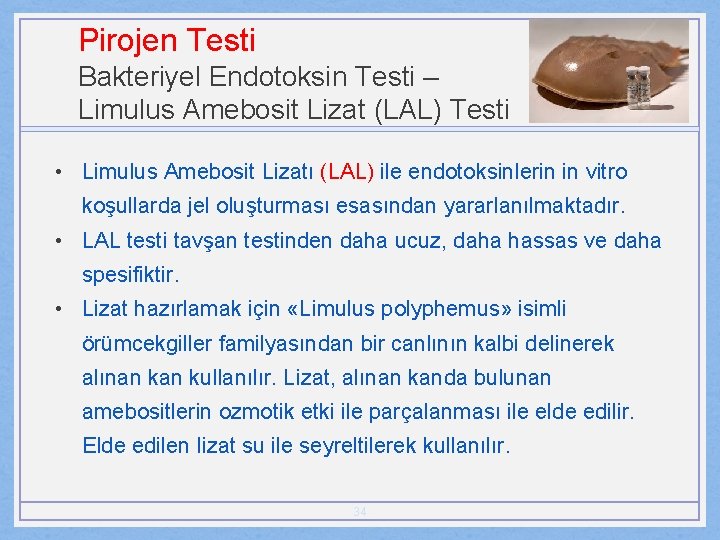 Pirojen Testi Bakteriyel Endotoksin Testi – Limulus Amebosit Lizat (LAL) Testi • Limulus Amebosit