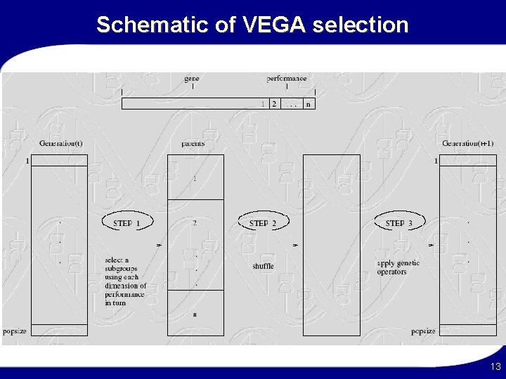 Schematic of VEGA selection 13 