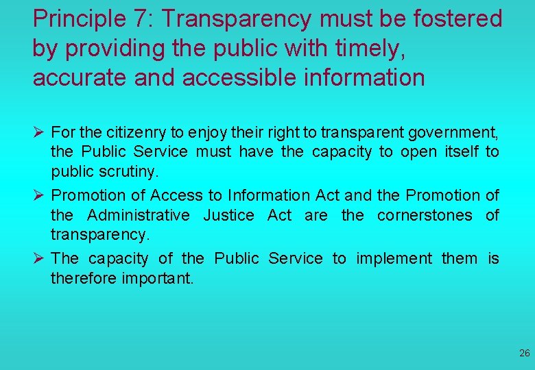 Principle 7: Transparency must be fostered by providing the public with timely, accurate and