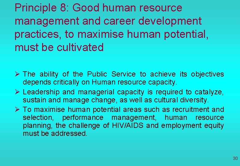 Principle 8: Good human resource management and career development practices, to maximise human potential,