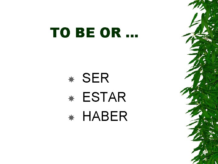 TO BE OR … SER ESTAR HABER 