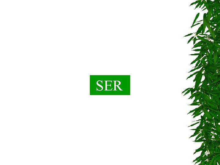 SER 