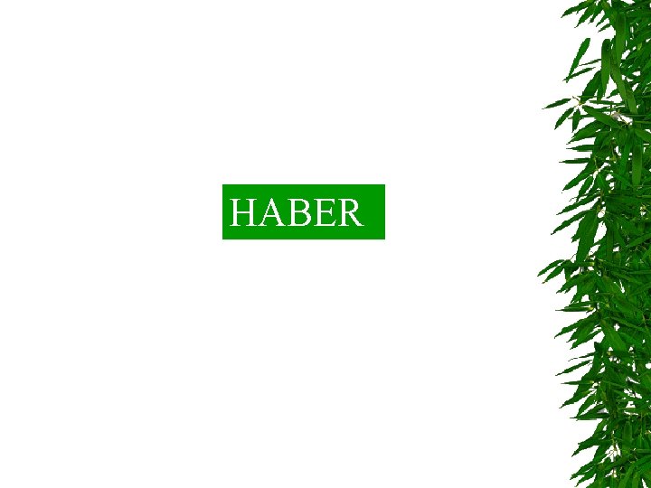 HABER 